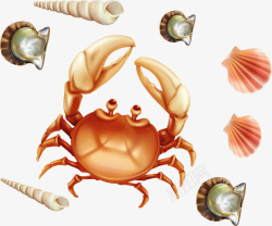 海鲜卡通螃蟹海螺扇贝素材