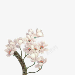 粉白色文艺花朵树枝素材