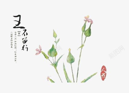 中国风花草王不留行png免抠素材_88icon https://88icon.com 中国风 毛笔字 水墨 清新 花草