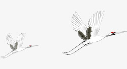 白鹤飞翔飞翔的仙鹤高清图片