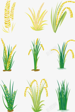 麦穗手绘农作物的主题矢量图高清图片