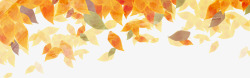 秋天里的枫叶枫叶高清图片