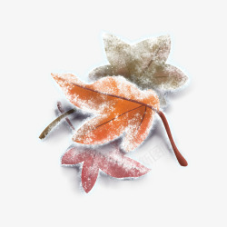 枯叶手绘霜降三片红色枫叶高清图片