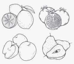 夏天水果线稿手绘水果线稿矢量图高清图片