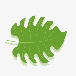 卡通绿叶装饰手绘文艺小清新素材