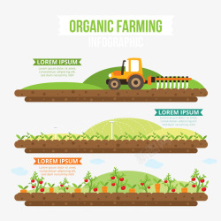 有机农业infography平面素材