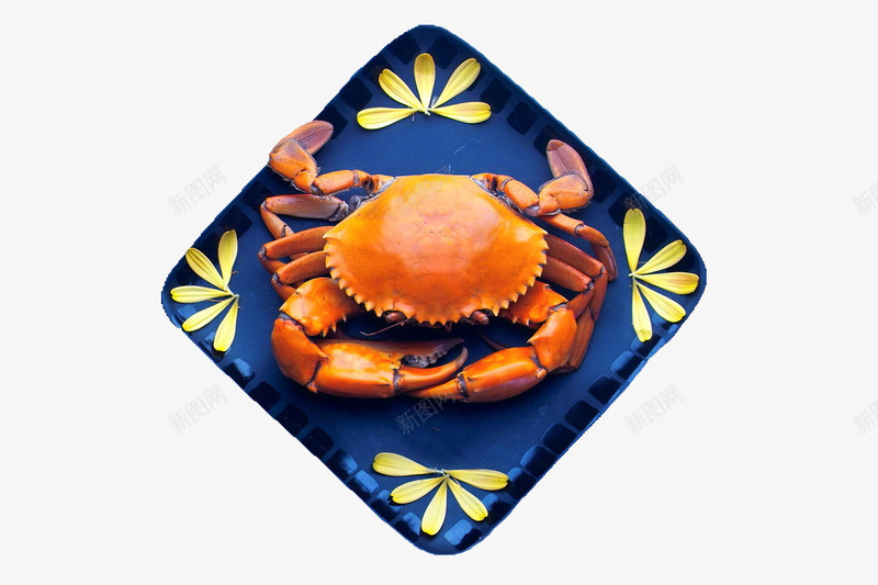 美食螃蟹png免抠素材_88icon https://88icon.com 免抠 海鲜螃蟹 美味食品 美食餐饮 螃蟹壳 蟹壳 香辣蟹