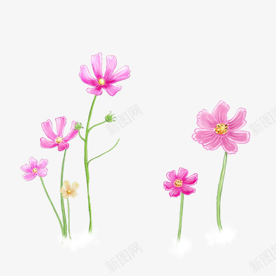 前景装饰花草png免抠素材_88icon https://88icon.com 前景装饰 花草