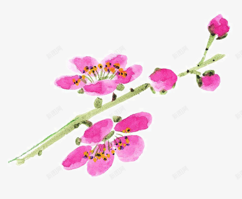 彩墨桃花png免抠素材_88icon https://88icon.com 写意 国画花卉 国粹 宣纸画 手绘花草 手绘装饰 水墨国画