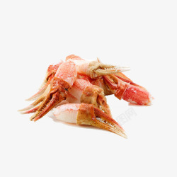 美味大闸蟹素材