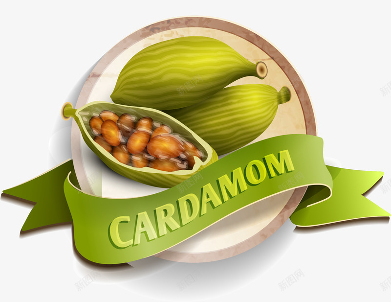 简约绿色杏仁矢量图ai免抠素材_88icon https://88icon.com 小清新 简约杏仁 绿色丝带 绿色杏仁 绿色条幅 食品坚果 矢量图
