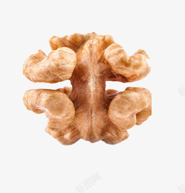 美味核桃仁png免抠素材_88icon https://88icon.com 坚果 干果 核桃仁 食品