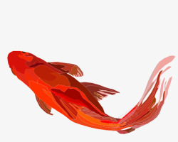红色鲤鱼中国风矢量图素材