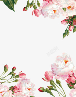 玫瑰花苞浪漫花枝装饰背景高清图片