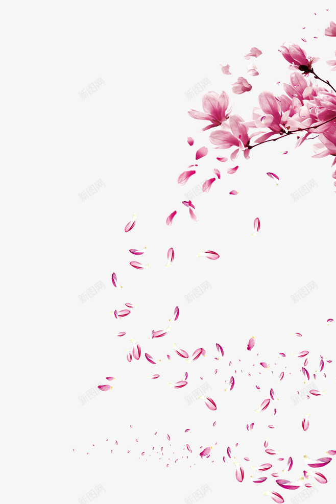 漂浮的玉兰花瓣png免抠素材_88icon https://88icon.com 漂浮 玉兰花 粉色的 美丽的 花卉 花朵 花瓣