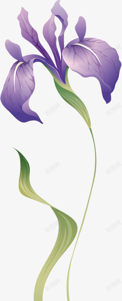 手绘紫色兰花png免抠素材_88icon https://88icon.com 兰花草 手绘图 紫色素材 花朵 鲜花