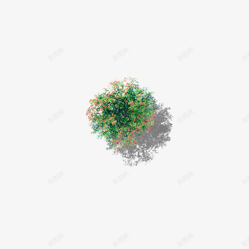 俯视开满花的树png免抠素材_88icon https://88icon.com 俯视树 俯视树木 实物 树俯视 树顶 樟树叶子 海报设计 香樟树