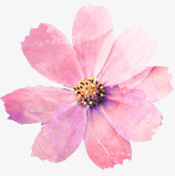 手绘粉色文艺花朵素材