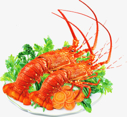 虾龙虾淘宝食品海鲜素材