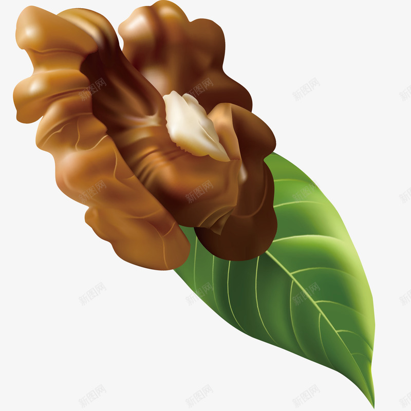 卡通逼真核桃叶配半颗核桃仁矢量图ai免抠素材_88icon https://88icon.com 休闲食品 卡通 坚果 核桃 核桃叶 生核桃 美食 逼真 零食 矢量图