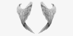 翅膀灰色翅膀天使精灵素材
