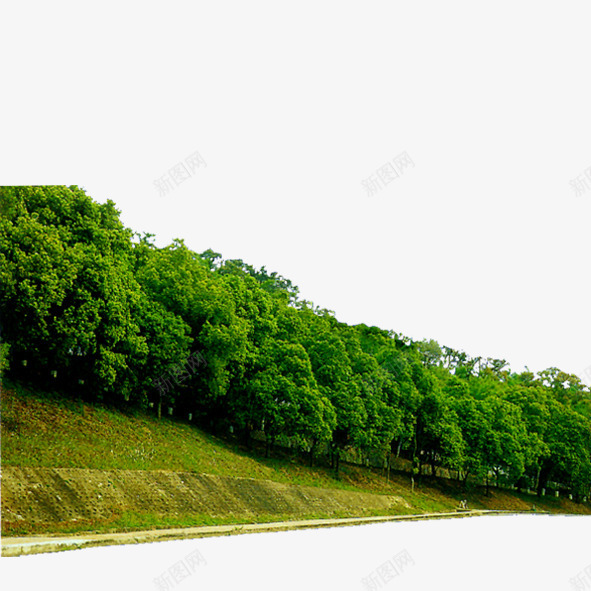 园林花草png免抠素材_88icon https://88icon.com 建筑绿化装饰 树木 绿化 绿色植物 花丛 花卉 花束