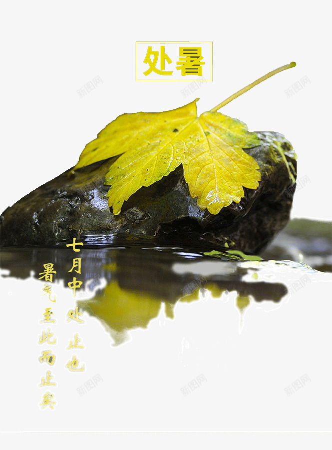 二十四节气处暑png免抠素材_88icon https://88icon.com 二十四节气 处暑 树叶 石头