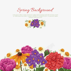 春季彩色花卉背景矢量图素材