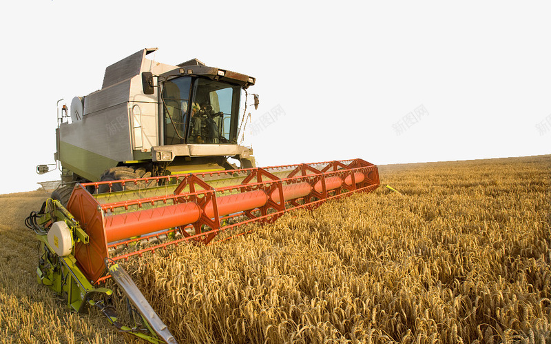 收割机收割麦子png免抠素材_88icon https://88icon.com 收割 收割机 收麦子 机械化收割 水稻机械化 金黄麦子 麦子 麦子地 麦穗收割