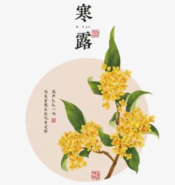 寒露节气插画中国风桂花寒露矢量图高清图片