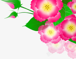 手绘粉色春季花朵花苞素材