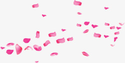 七夕情人节粉红色飘落的花瓣素材