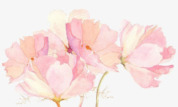 粉色唯美文艺手绘花装饰素材