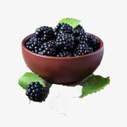 水果展示黑莓桑葚高清图片