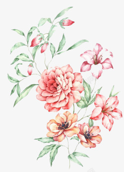 粉花蓝底粉色手绘的牡丹花高清图片