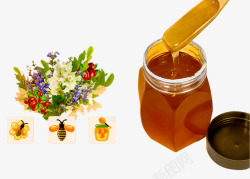 天然蜂蜜素材