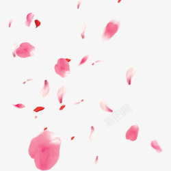 花瓣组成的爱心漂浮的樱花花瓣高清图片