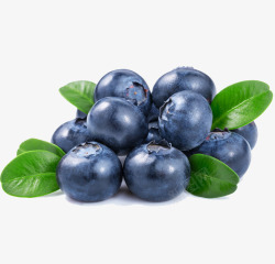 蓝莓蓝色蓝莓高清图片
