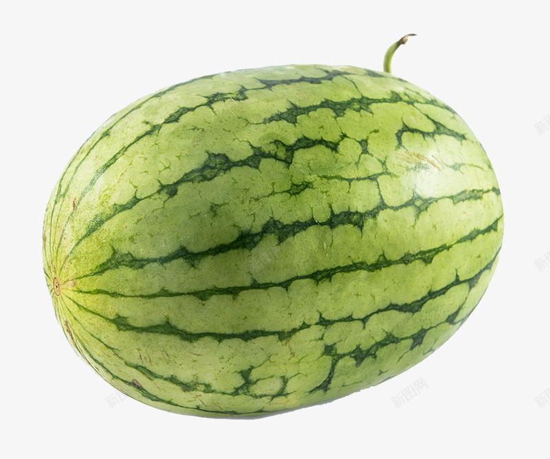 新鲜花皮西瓜png免抠素材_88icon https://88icon.com 健康 夏天 大西瓜 实物 成熟 新鲜花皮西瓜 清新 瓜果 绿色 西瓜特写