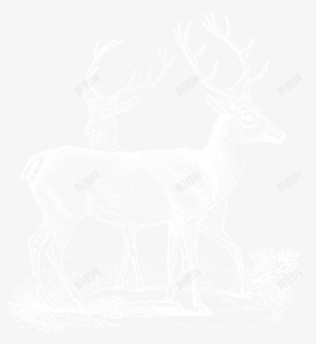 冰雕麋鹿png免抠素材_88icon https://88icon.com 冬天 冰 动物 圣诞节 素材 麋鹿