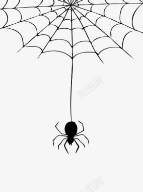 手绘黑色蜘蛛网线条图标图标