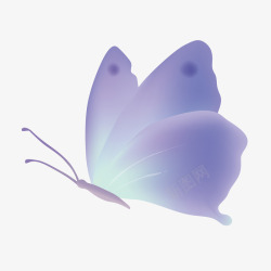 紫色科幻的小蝴蝶素材