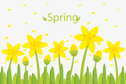 春季黄色花丛矢量图素材