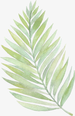 手绘绿色装饰叶子素材