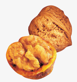 核桃果仁素材