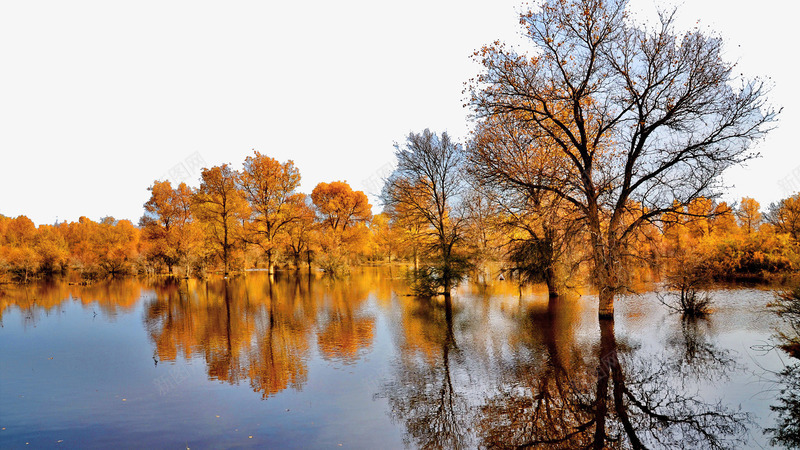 甘肃金塔胡杨林四psd免抠素材_88icon https://88icon.com 名胜古迹 旅游风景 著名建筑