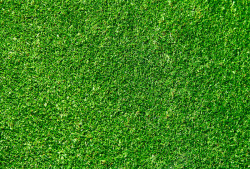 绿色草地纹理贴图元素素材