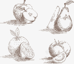 苹果梨手绘水果矢量图高清图片