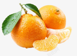 叶子水珠的橘子素材