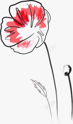 红色手绘罂粟花矢量图素材